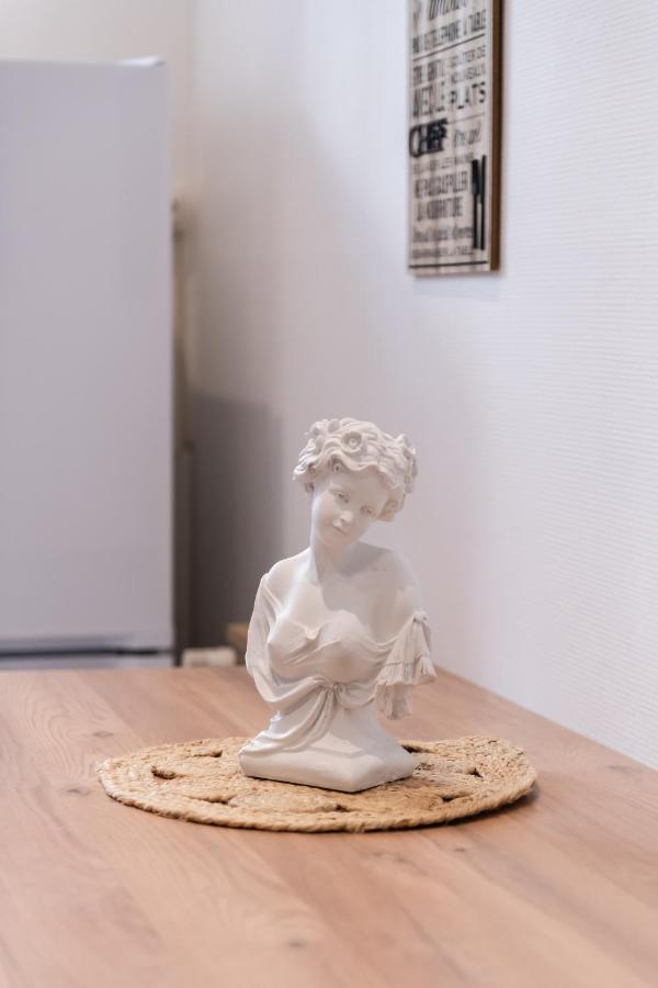 Appartement Entierement Renove Et Cosy Avec Jardin Mulhouse Exteriör bild